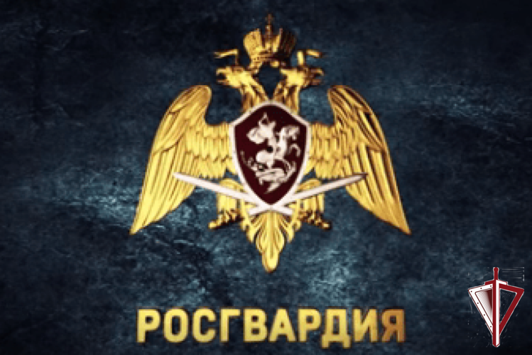 Хроника задержаний нарядами вневедомственной охраны Росгвардии правонарушителей в г. Якутске