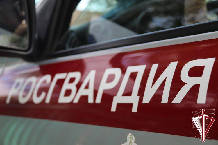 Росгвардейцы на территории Якутии за неделю пресекли более 120 правонарушений